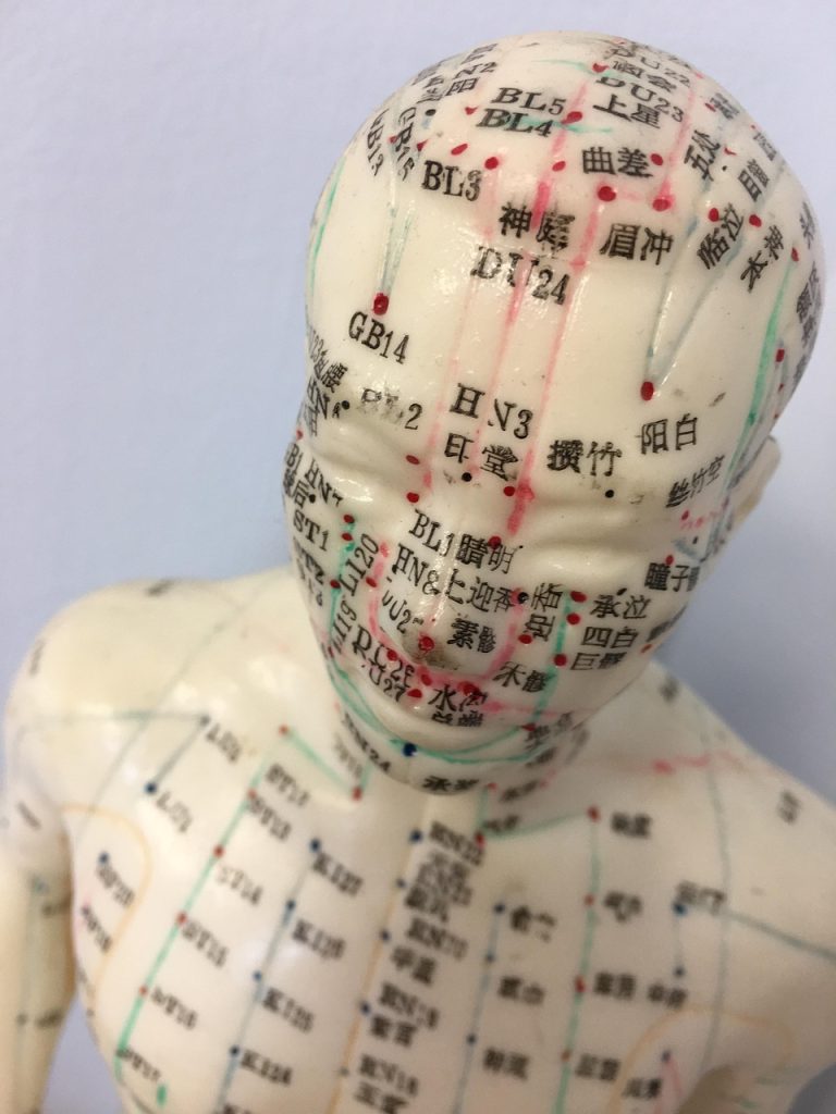 acupuncture, acupuncture model, mannequin, medical, healthcare, anatomy, traditional chinese medicine, brown medical, brown medicine, brown healthcare, acupuncture, acupuncture, acupuncture, acupuncture, acupuncture